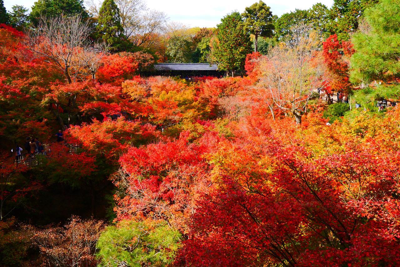 Japaning Hotel Libre Tofukuji Киото Экстерьер фото